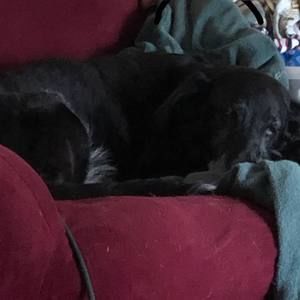 Meet your Posher, Kimberley